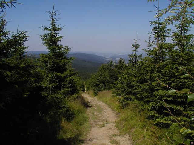 img00140.jpg