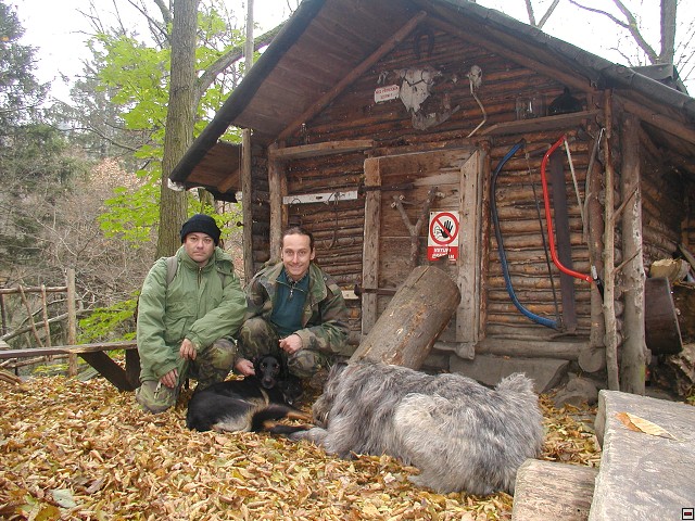 img00009.jpg