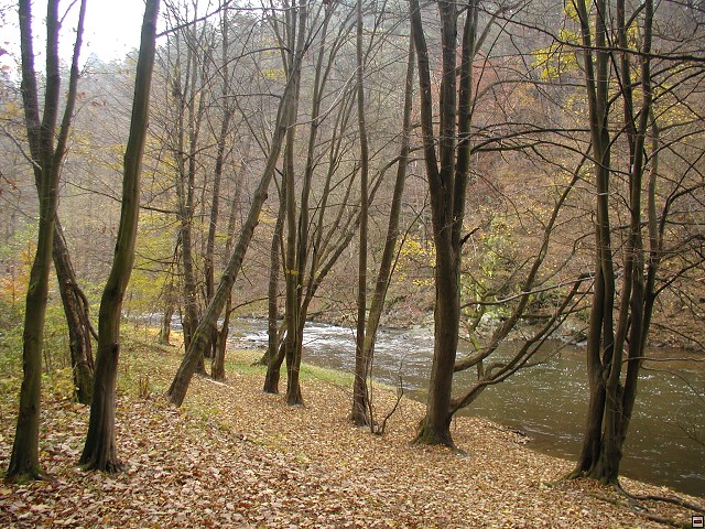 img00010.jpg