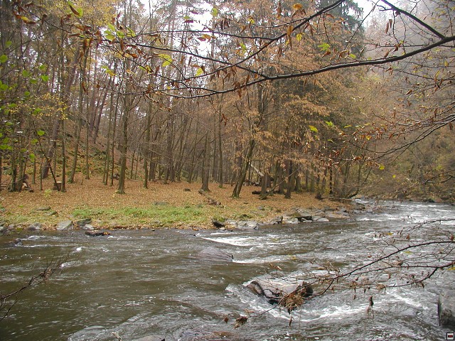 img00011.jpg