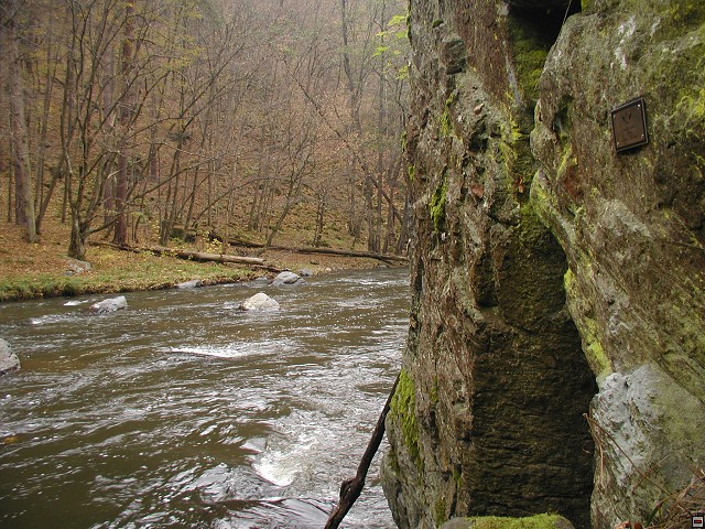 img00016.jpg
