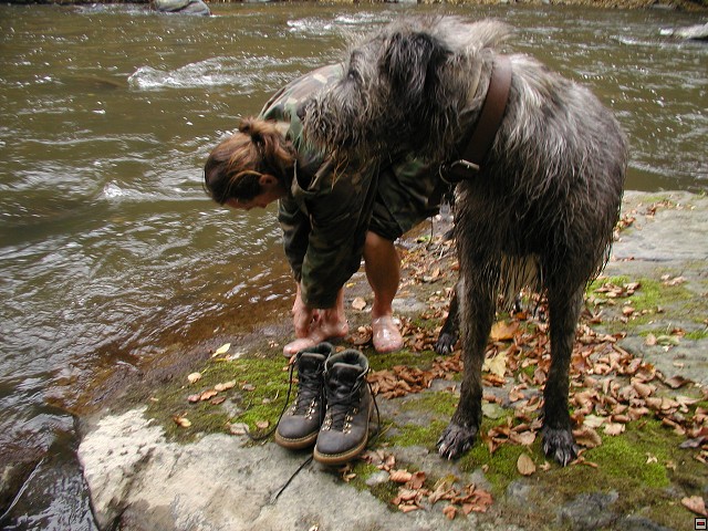 img00018.jpg
