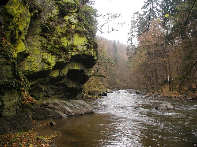 img00019.jpg