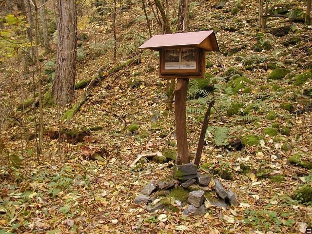 img00021.jpg