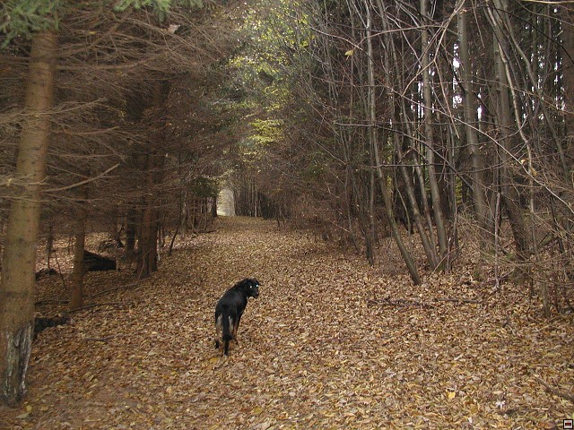 img00024.jpg