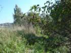 slibovanvhledyturistickhopochoduvysoinoujitenka20068_small.jpg