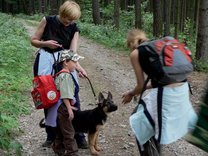 turistickpochodvysoinoujitenka200650.jpg