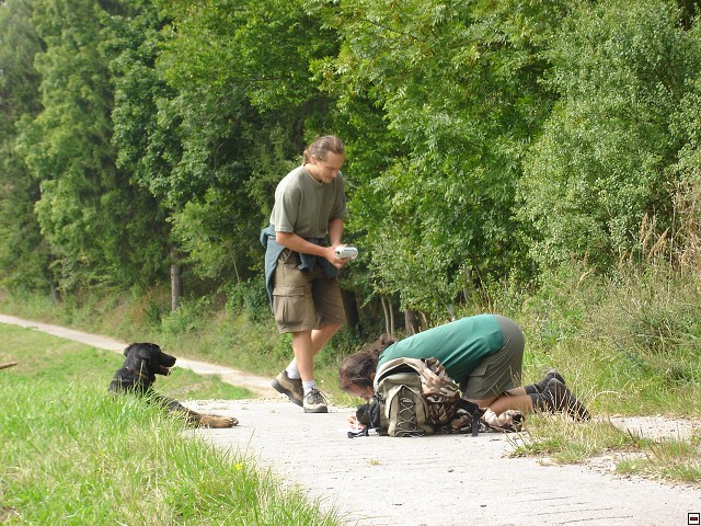 img00001.jpg