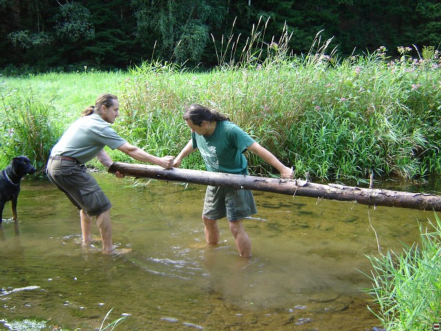 img00002.jpg