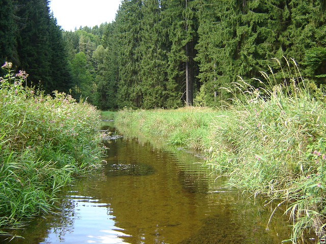 img00004.jpg