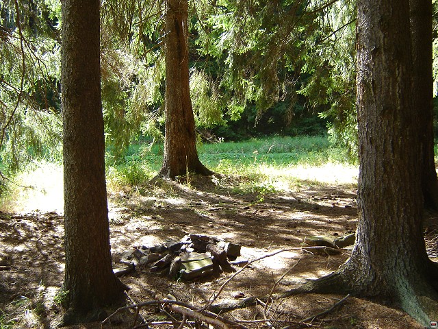 img00005.jpg