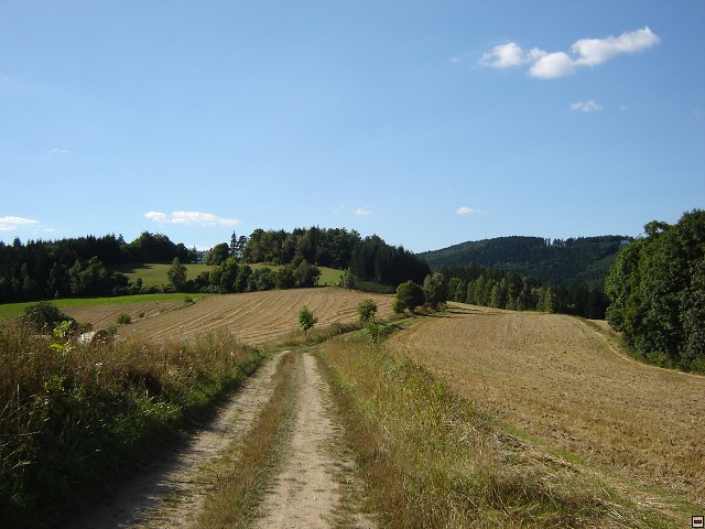 img00013.jpg