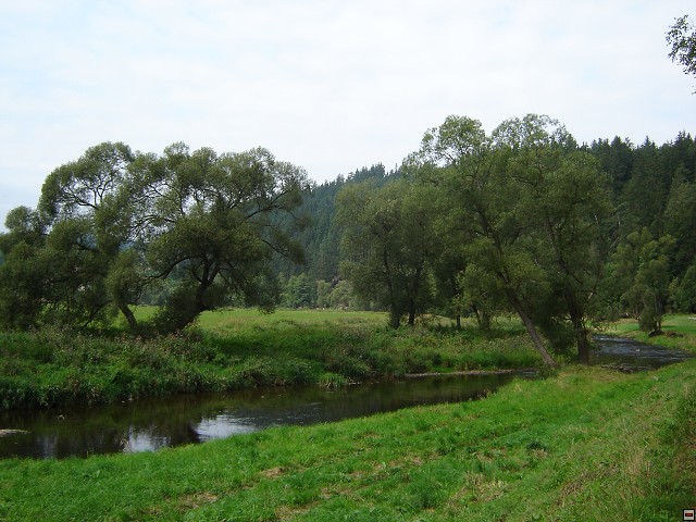 img00017.jpg