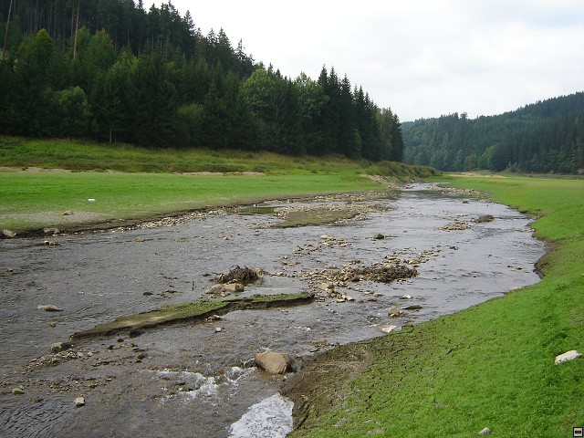 img00019.jpg