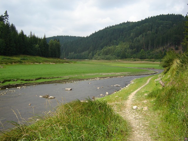 img00020.jpg