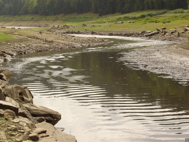 img00021.jpg