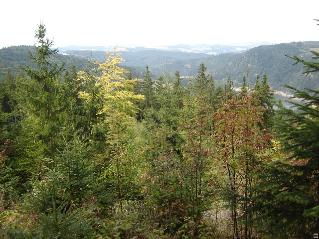 img00027.jpg