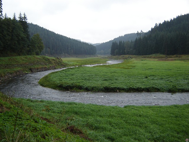 img00029.jpg