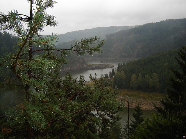 img00031.jpg