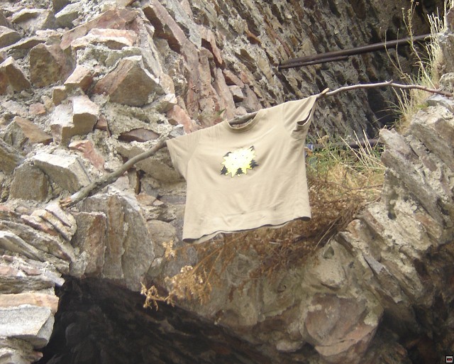 img00040.jpg