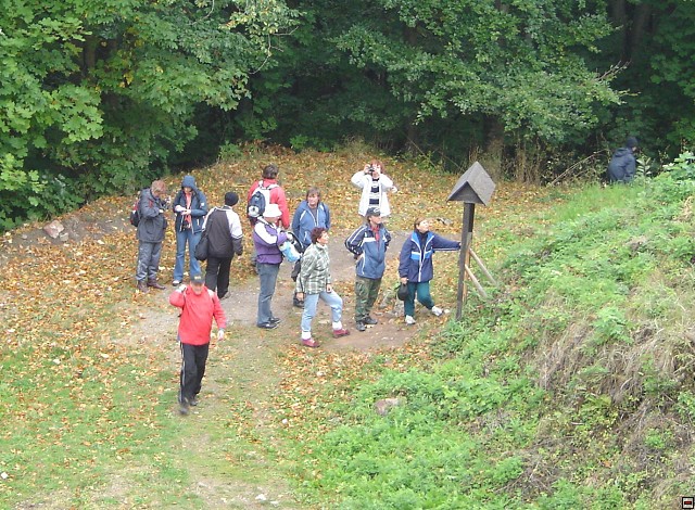 img00042.jpg