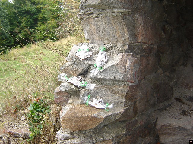 img00047.jpg