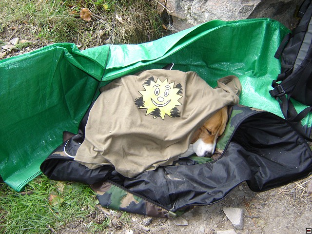 img00050.jpg
