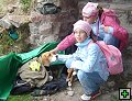 thn00051.jpg