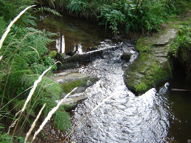 img00001.jpg