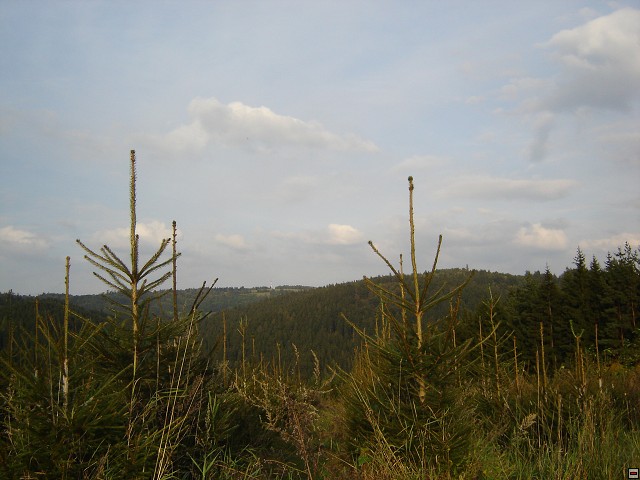 img00004.jpg