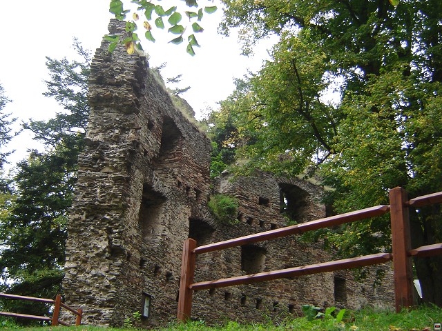 img00005.jpg