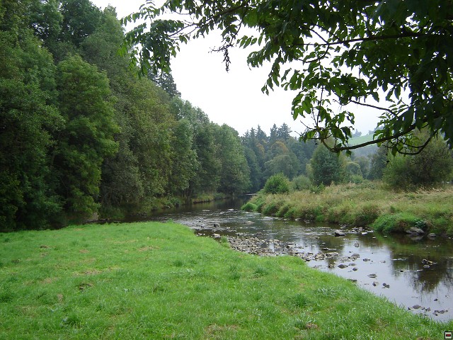 img00006.jpg