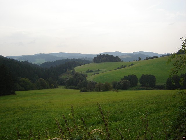 img00007.jpg