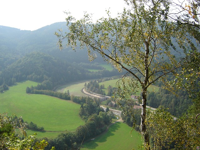 img00008.jpg