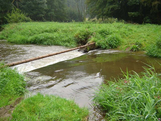 img00013.jpg