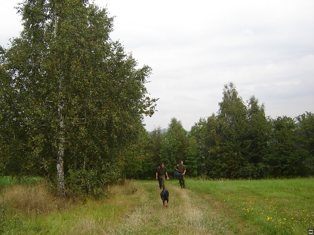 img00016.jpg