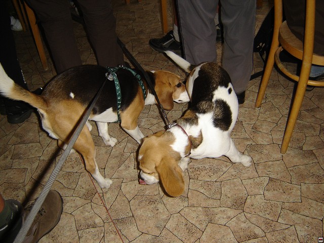 img00027.jpg