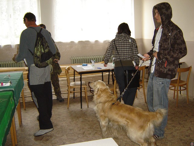 img00029.jpg