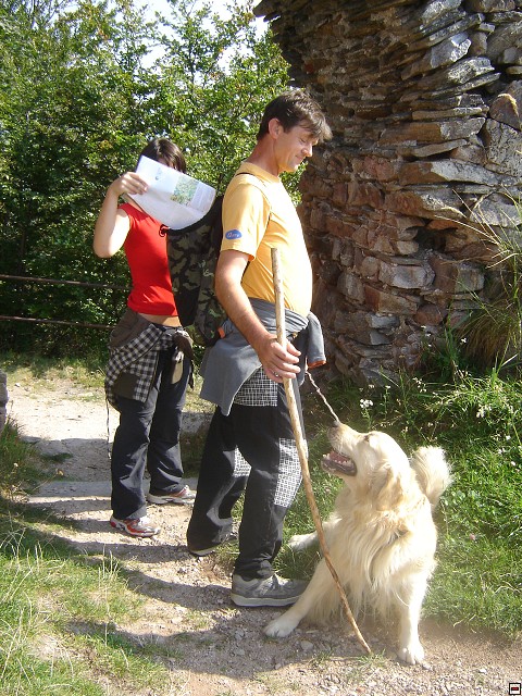 img00035.jpg