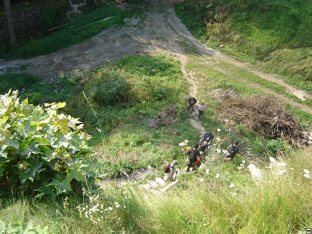 img00047.jpg