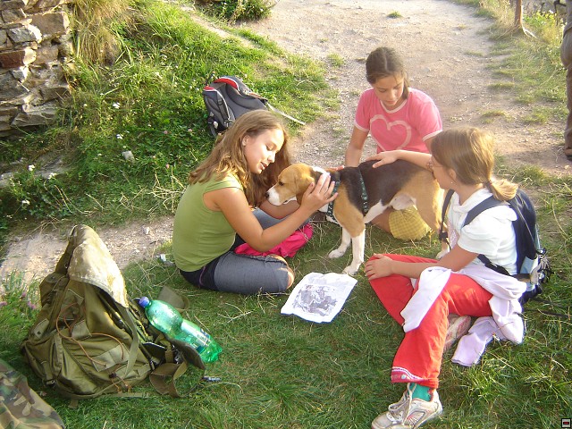 img00058.jpg