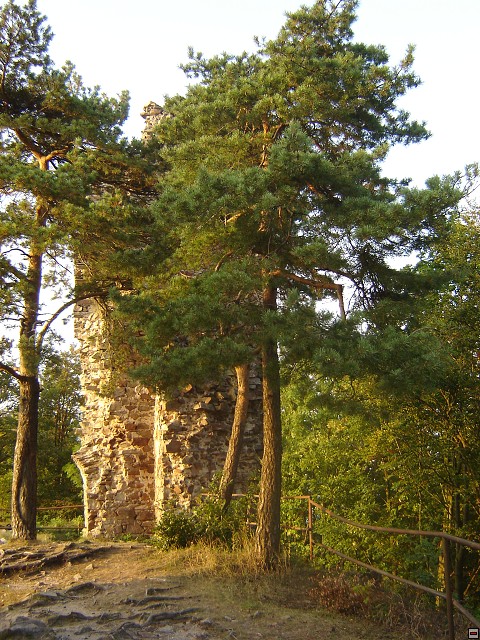 img00059.jpg