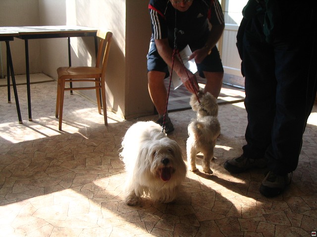 img00075.jpg