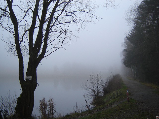 img00003.jpg