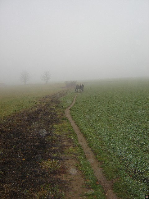 img00016.jpg