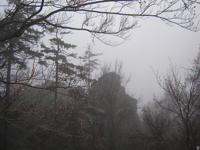 img00030.jpg