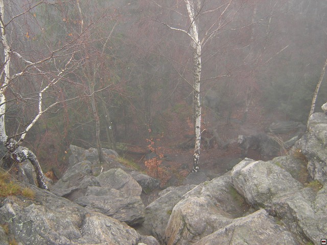 img00032.jpg
