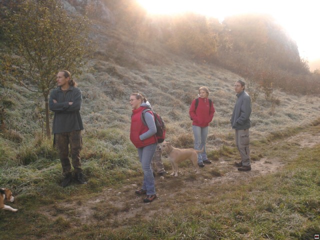 img00004.jpg